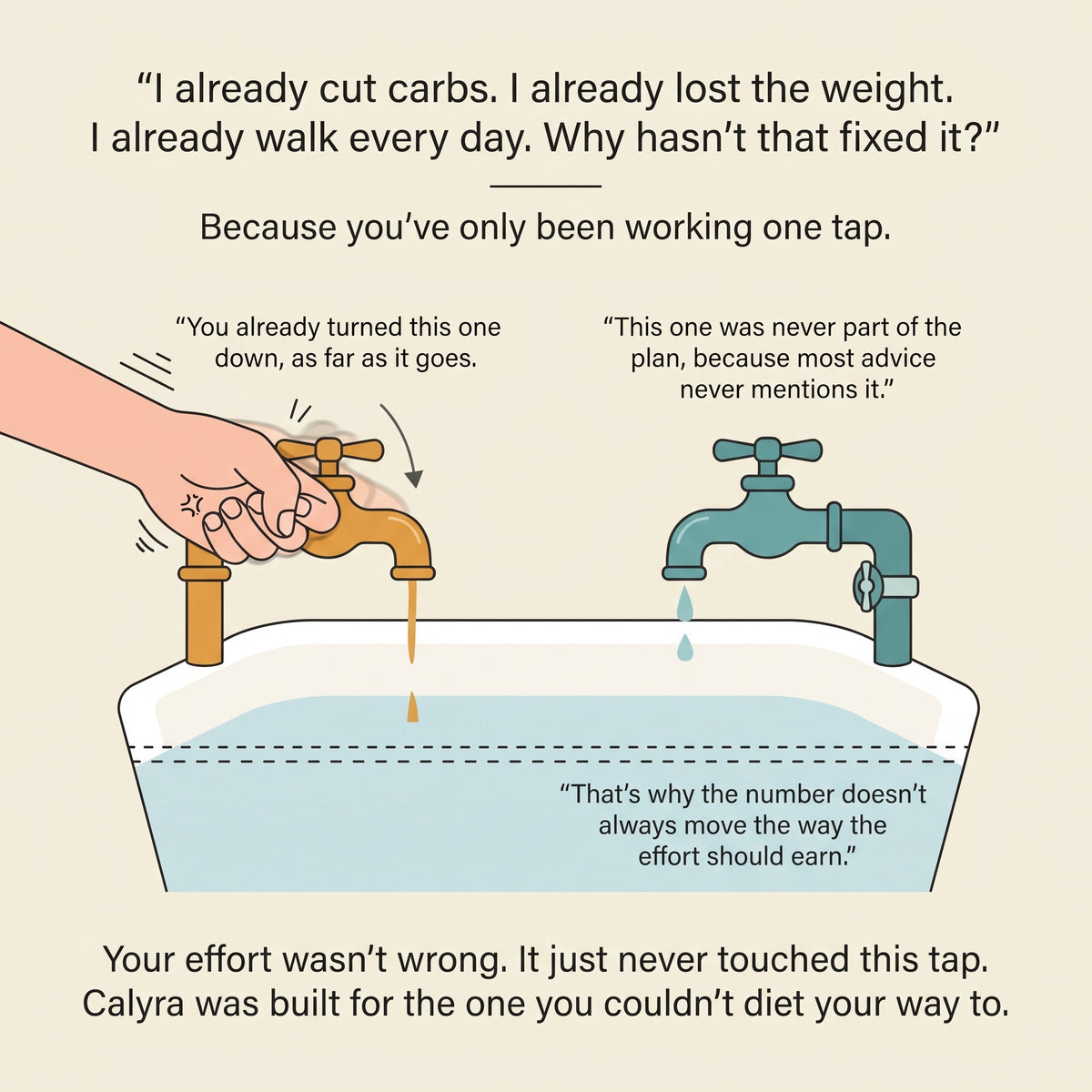 Calyra Blood Sugar Support