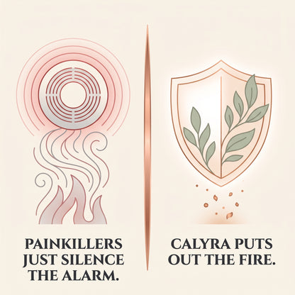 Calyra Morning Joint Support